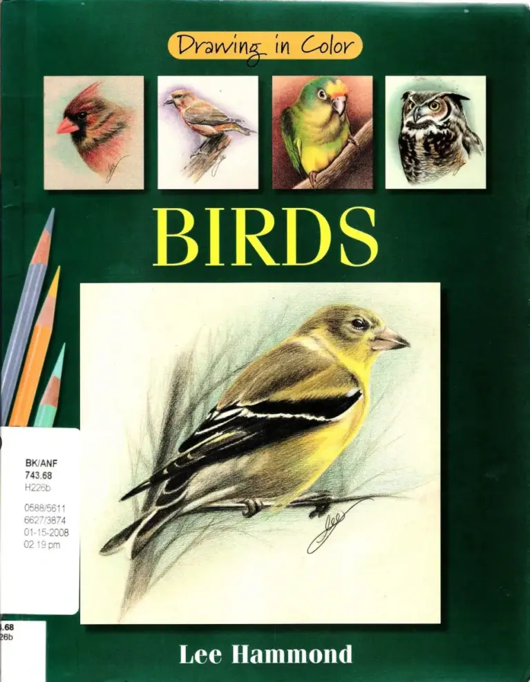 Drawing in Color: Birds
