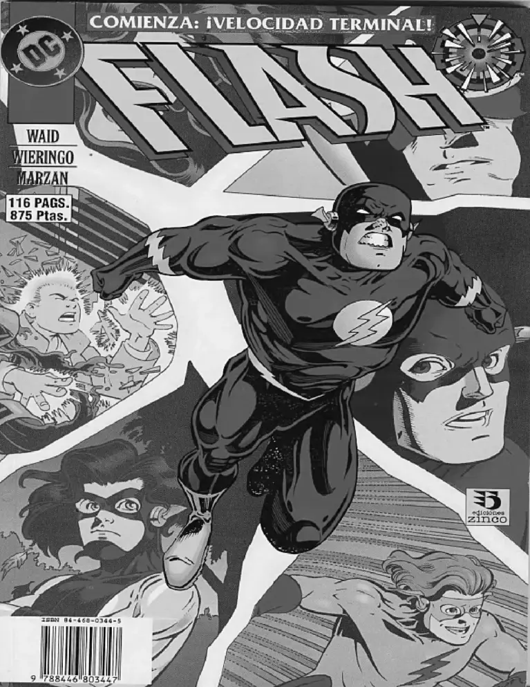 Flash: Velocidad Terminal