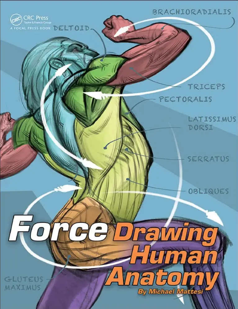 Force: Drawing Human Anatomy (Force Drawing Series)