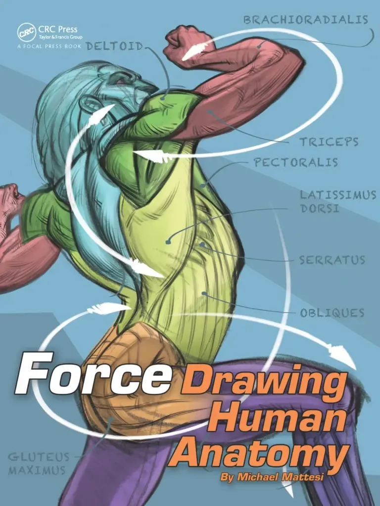 Force: Drawing Human Anatomy (Force Drawing Series)