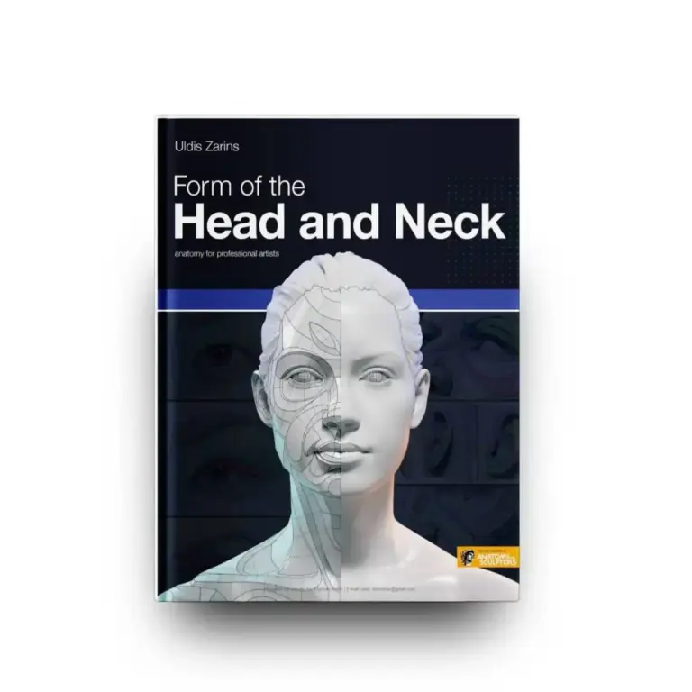Form of the Head and Neck