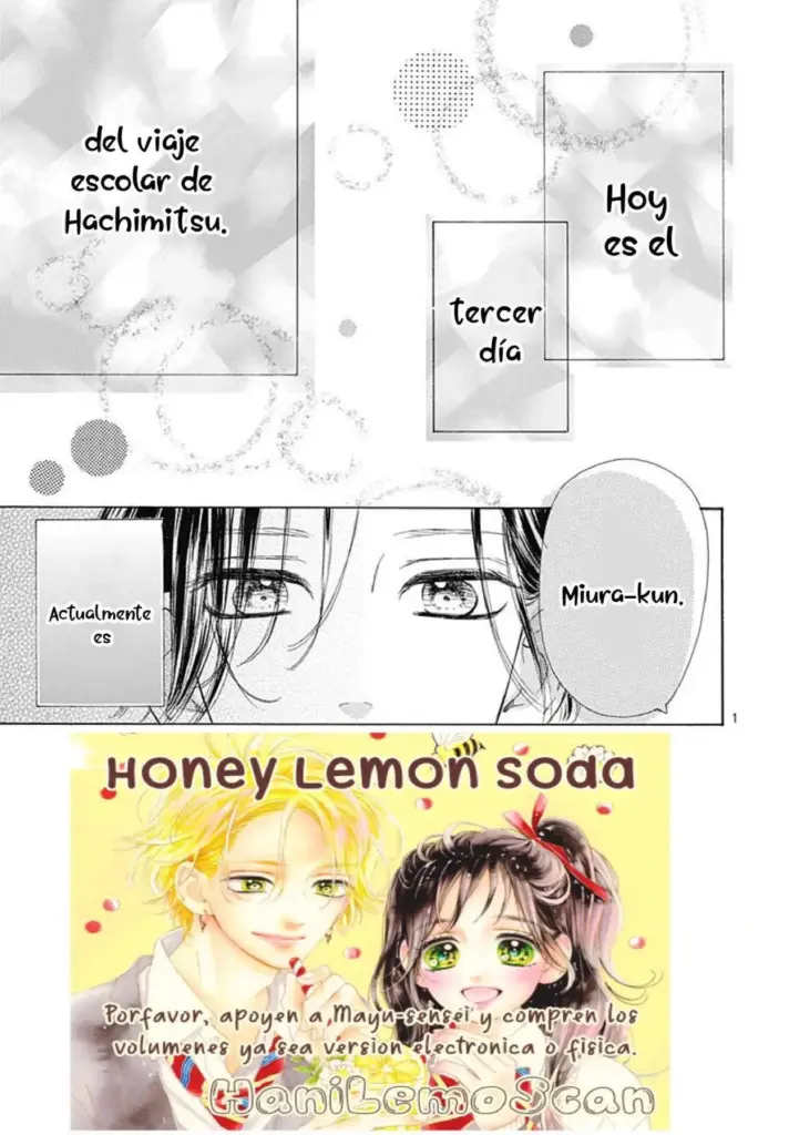 Honey Lemon Soda