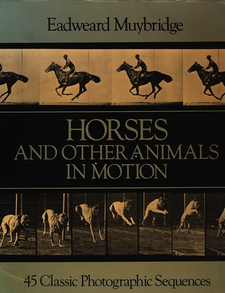 Horses and Other Animals in Motion