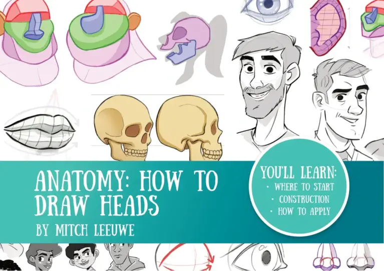How To Learn Anatomy: The Heads