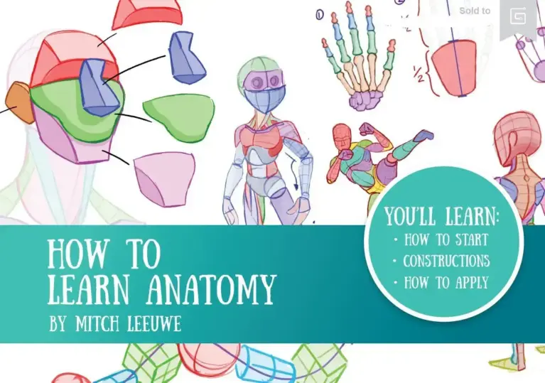 How to Learn Anatomy