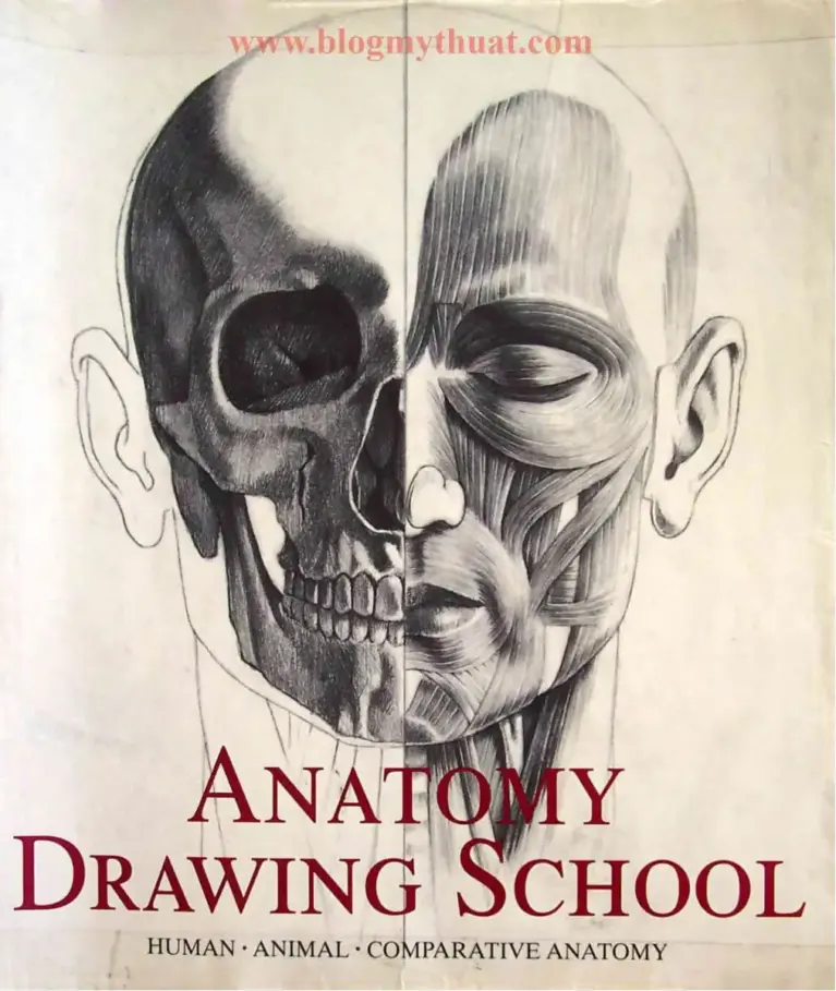 Human Anatomy And Animal Anatomy