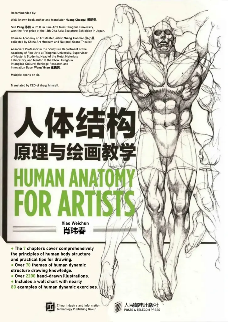 Human Anatomy for Artist 人体结构原理与绘画教学