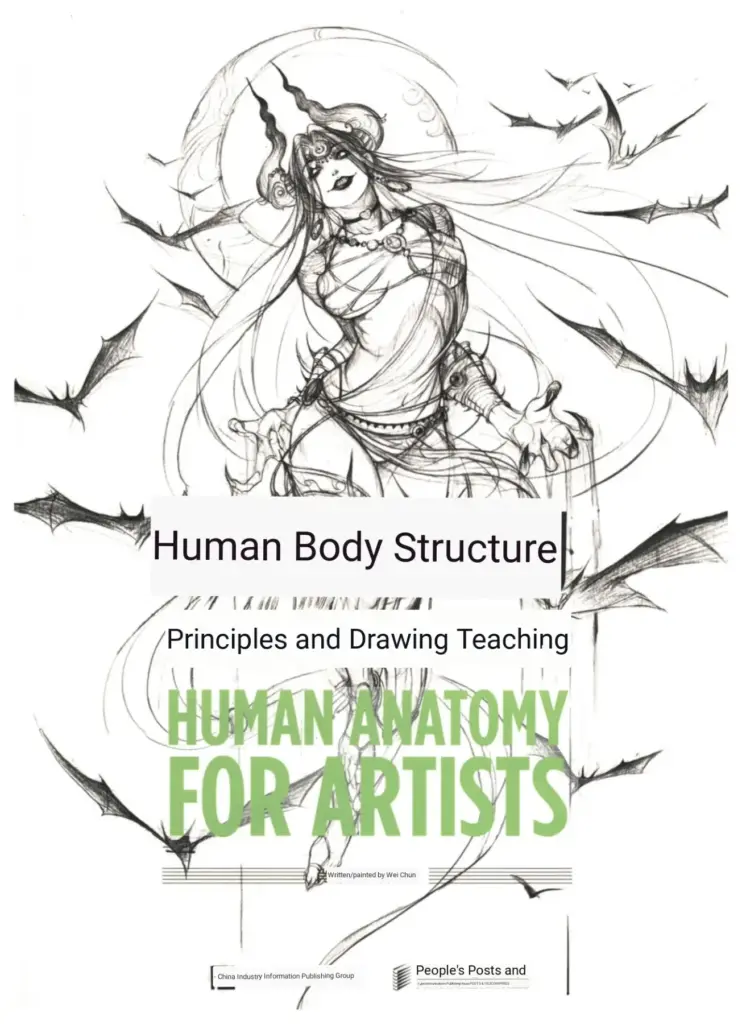 Human Body Structure Principles and Drawing Teaching