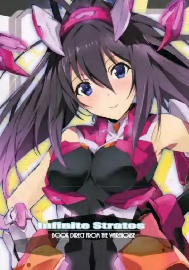 Infinite Stratos Book Direct From The Warehouse