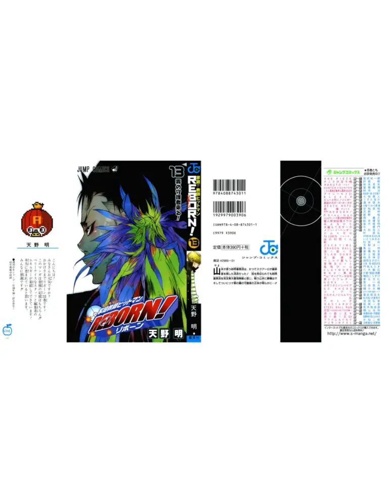 Katekyo Hitman Reborn! 13