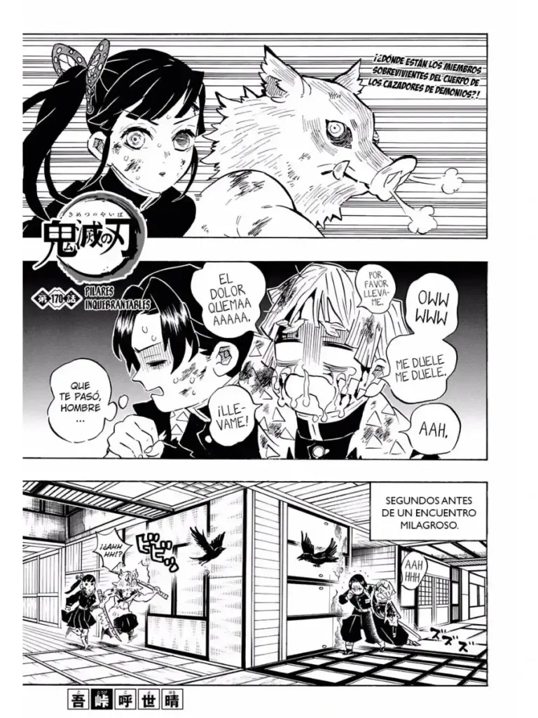 Kimetsu No Yaiba 20