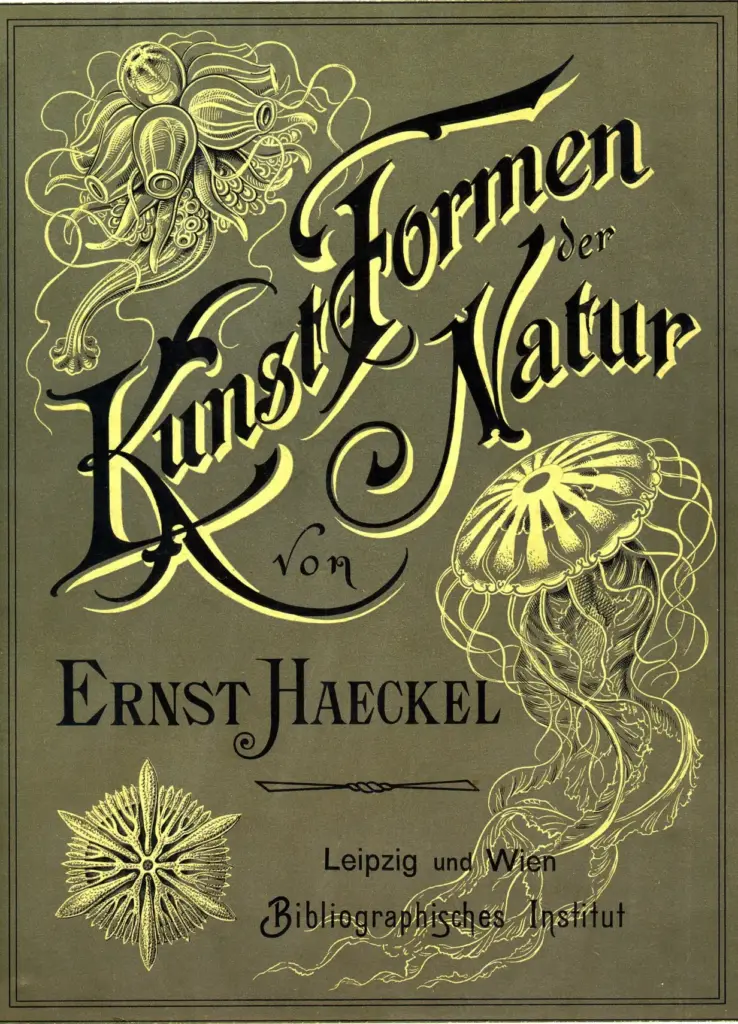 Kunstformen Der Natur