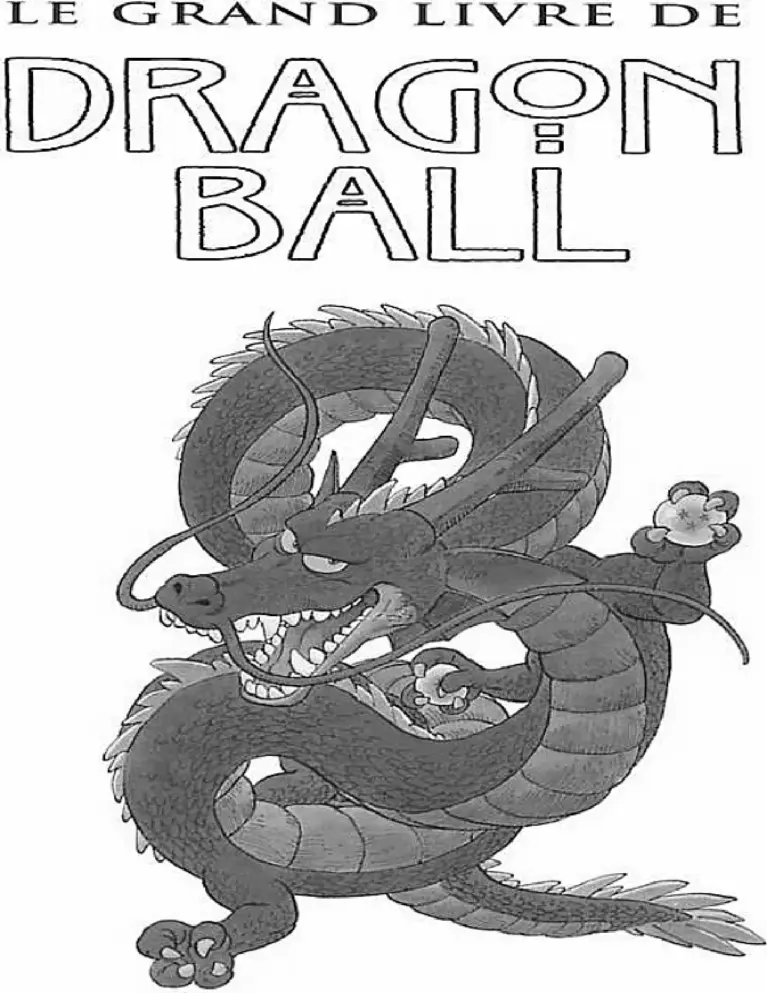 Le Grand Livre de Dragon Ball