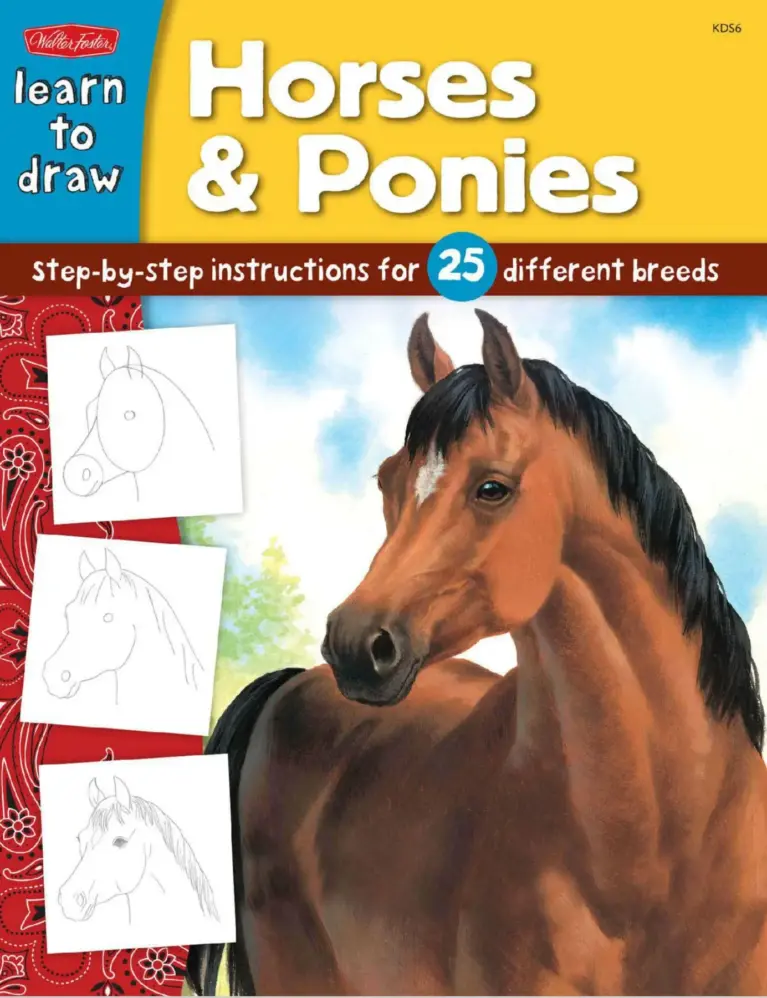 Learn to Draw Horses & Ponies