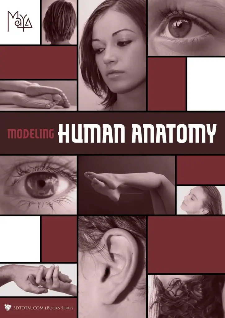 Modeling Human Anatomy: Maya