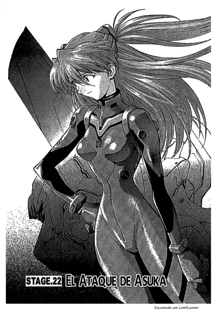 Neon Genesis Evangelion Cap 22-43