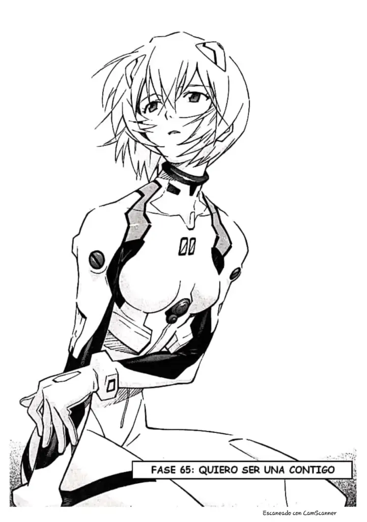 Neon Genesis Evangelion Cap 65-85