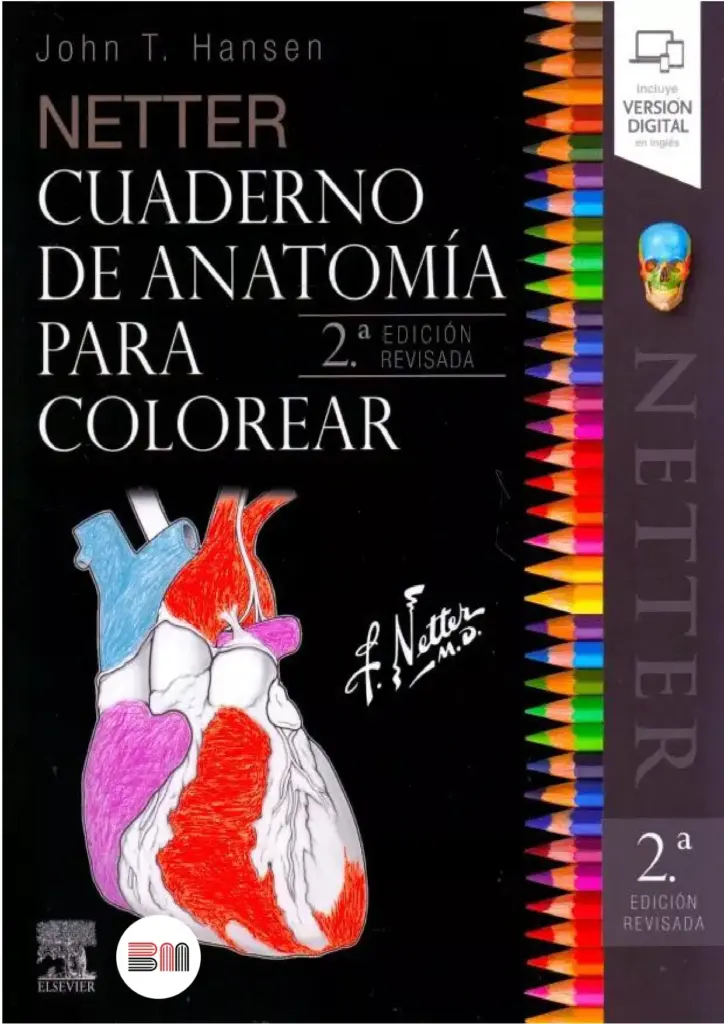 Netter. Cuaderno de Anatomía Para Colorear (2.ª Edición)