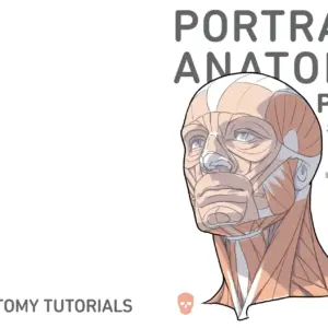 PORTRAIT ANATOMY PLUS ポートレートアナトミープラス 頭頸部の美術解剖学