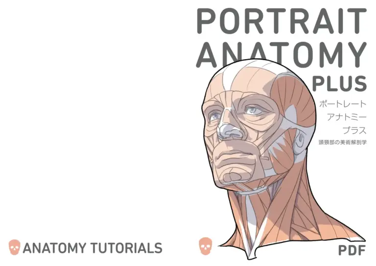 PORTRAIT ANATOMY PLUS ポートレートアナトミープラス 頭頸部の美術解剖学
