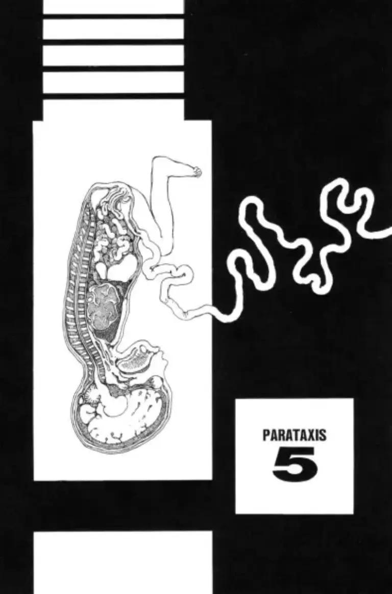 Parataxis: Capítulo 5