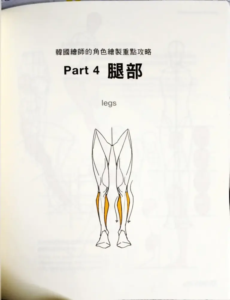 韓國繪師的角色繪製重點攻略 Part 4 腿部