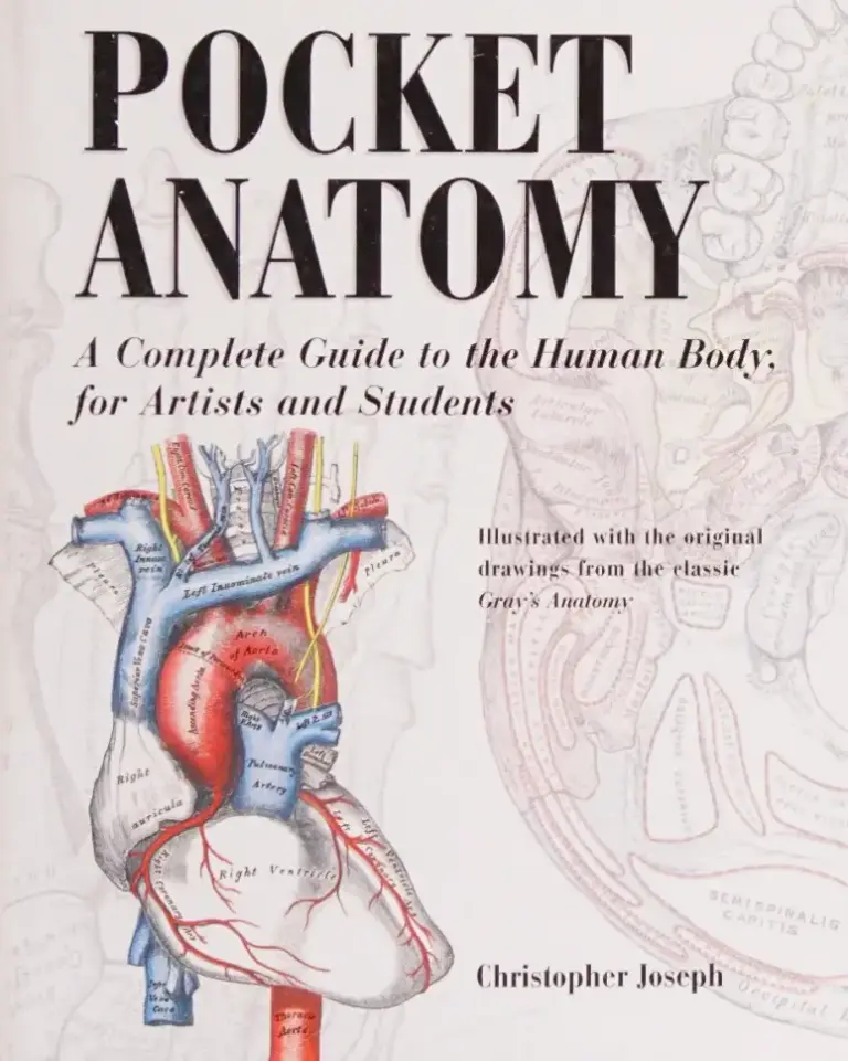 Pocket Anatomy: A Complete Guide to the Human Body, for Artists and Students
