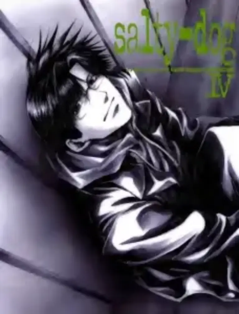 Saiyuki Salty Dog VI Artbook