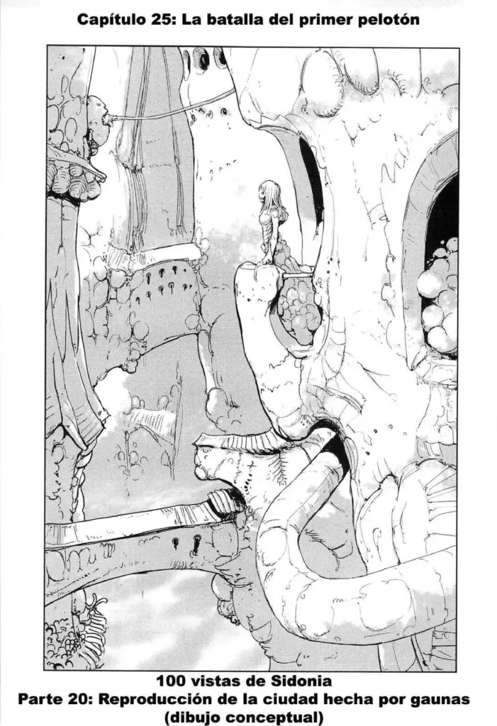 Sidonia no Kishi