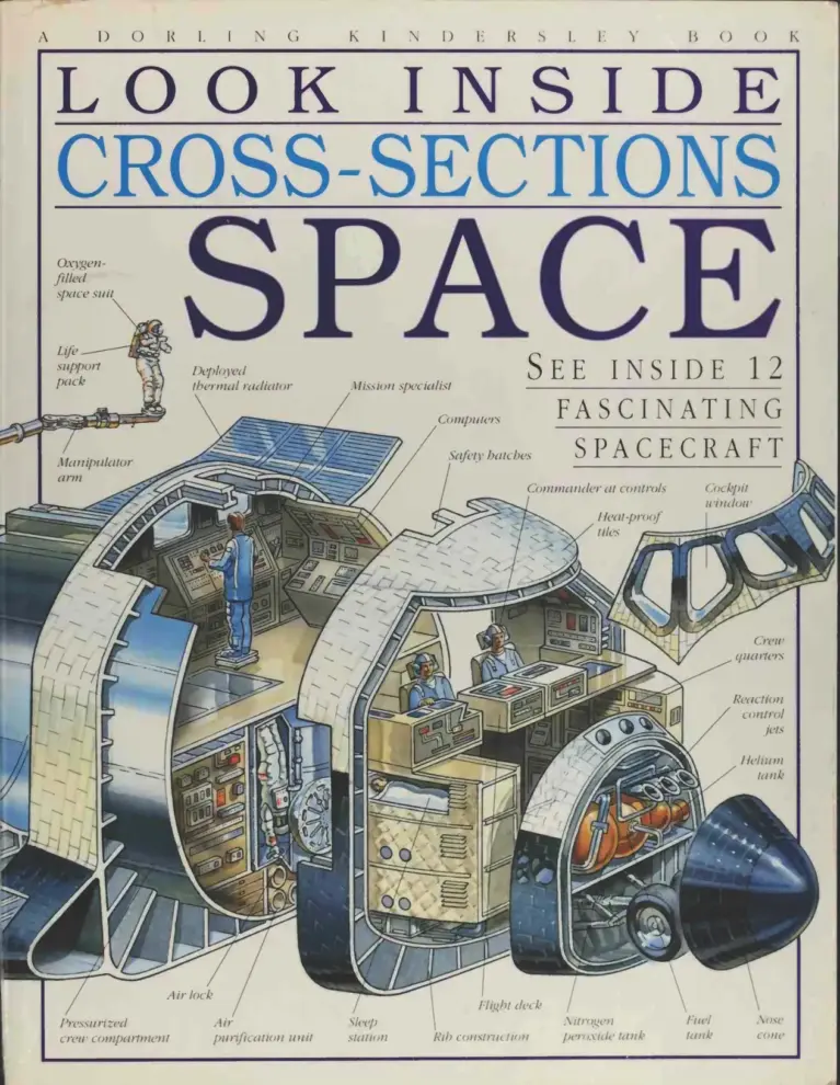 Space (Look Inside Cross-Sections)
