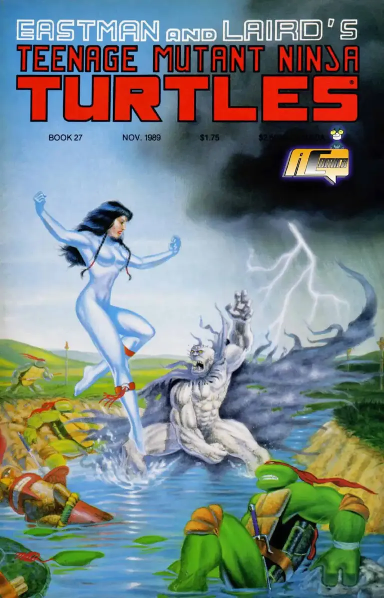 Teenage Mutant Ninja Turtles Vol. 1 #27