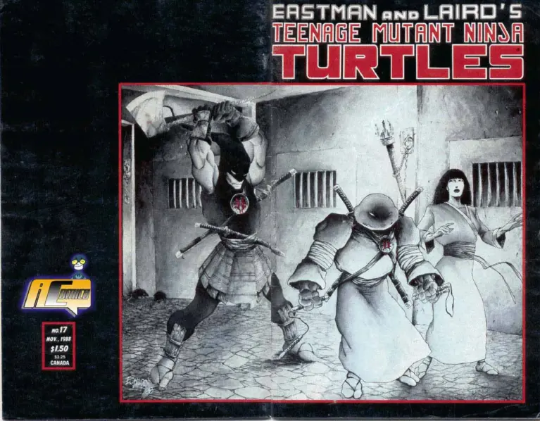 Teenage Mutant Ninja Turtles, Volume 1, Number 17