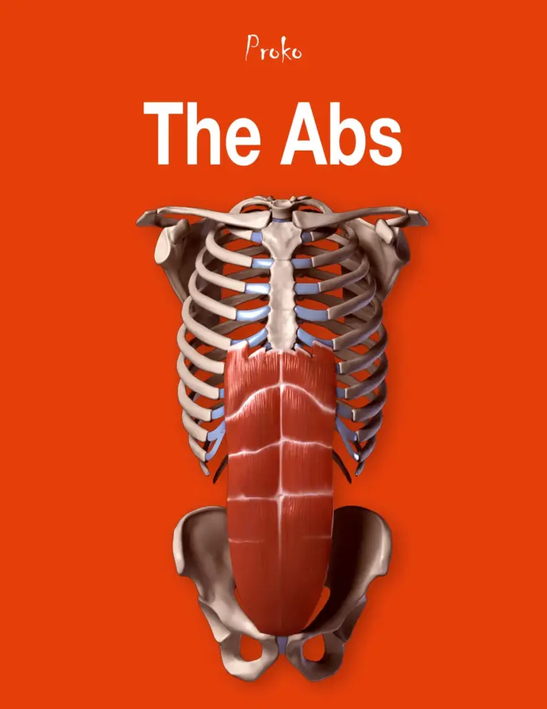The Abs