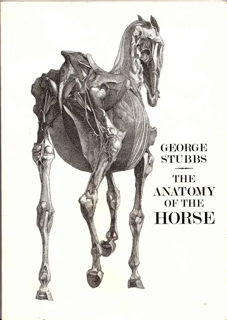 The Anatomy Of The Horse