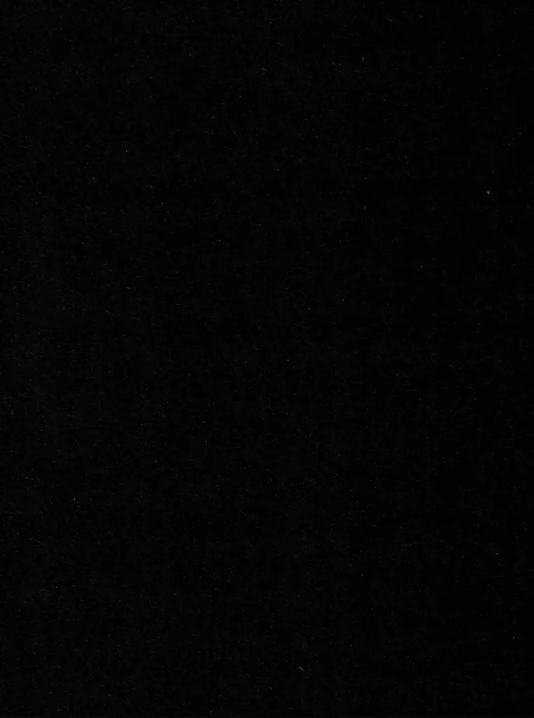 The Art of Dracula: A Visual Journey Through the Transmedial Representations of the Count
