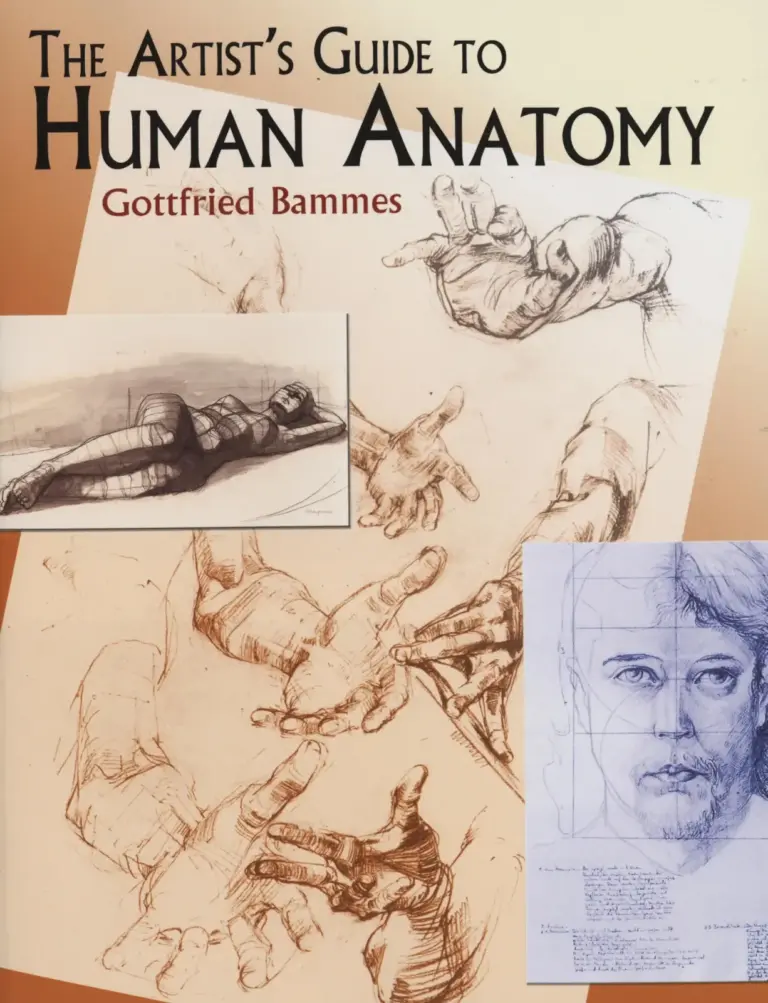 The Artist’s Guide to Human Anatomy