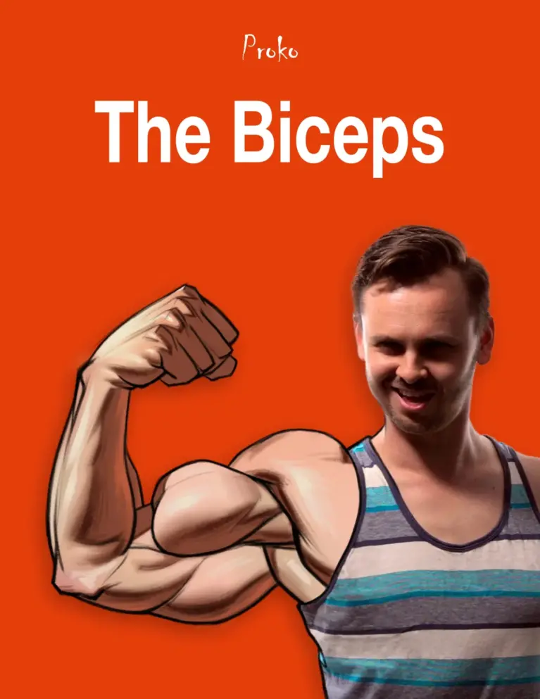 The Biceps Muscles