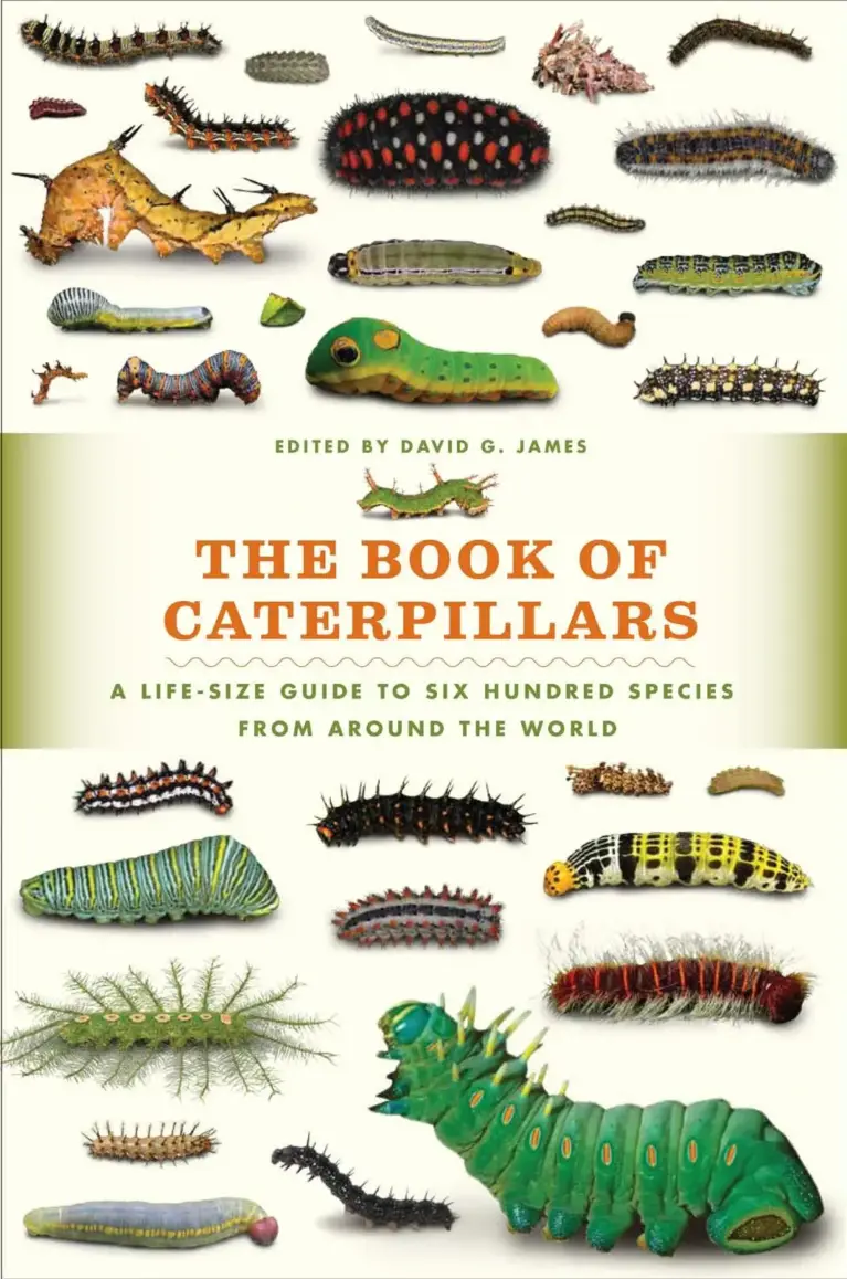 The Book of Caterpillars: A Life-Size Guide to Six Hundred Species From Around the World