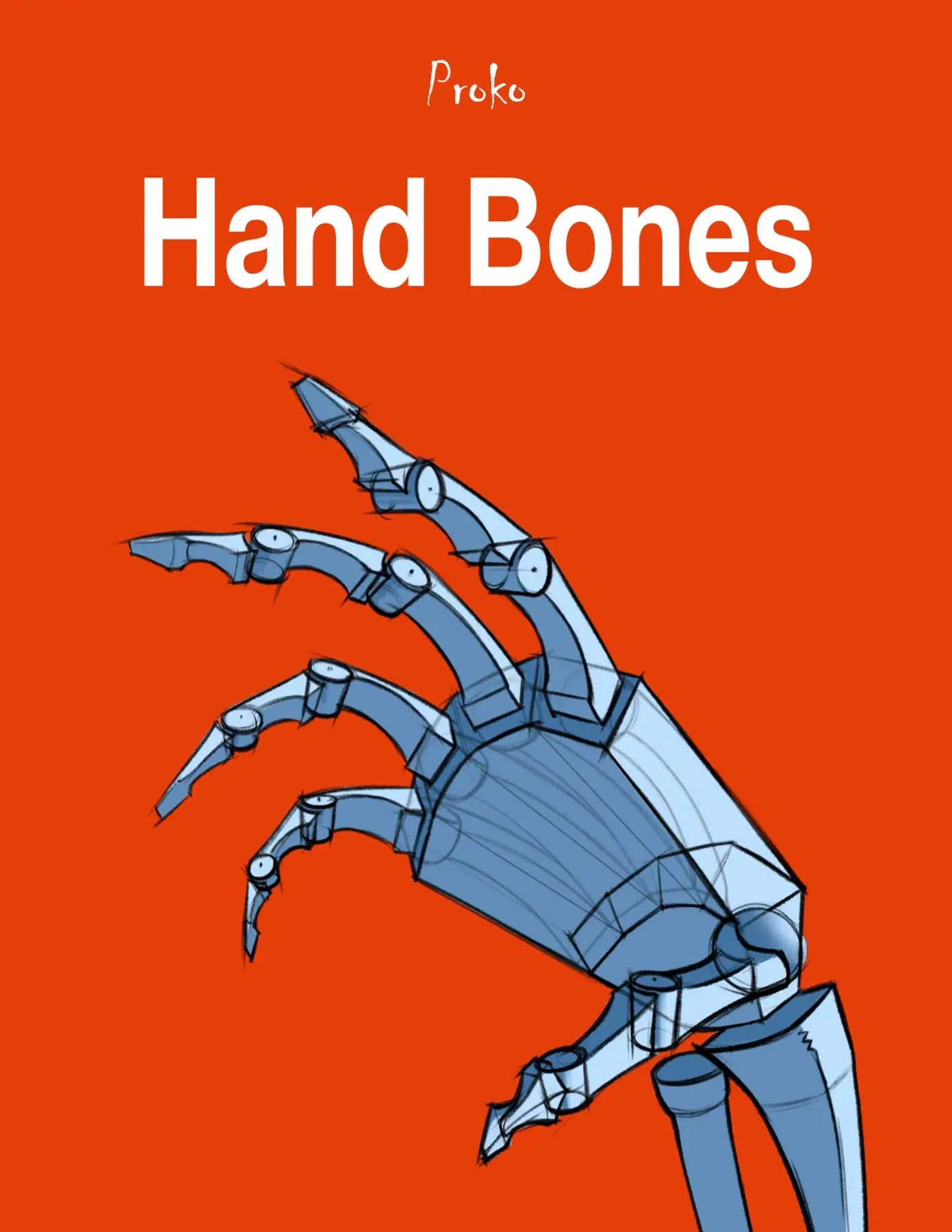 The Hand Bones