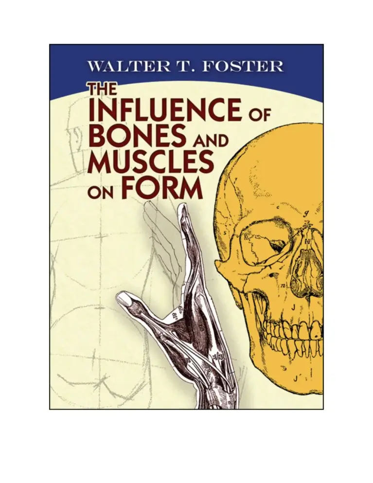 The Influence of Bones and Muscles on Form