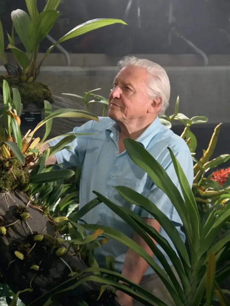 The Kingdom of Plants: The Diversity of Plants in Kew Gardens