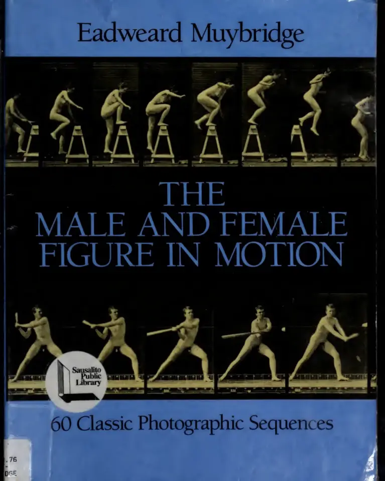 The Male and Female Figure in Motion