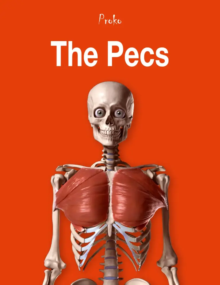 The Pecs