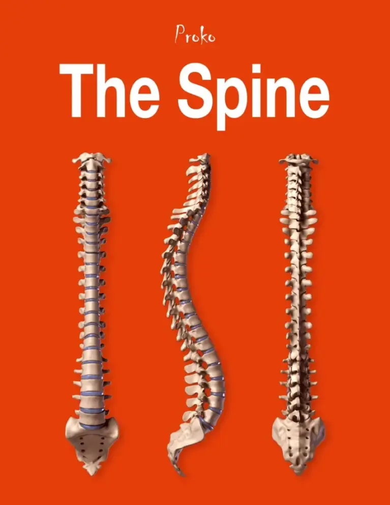 The Spine