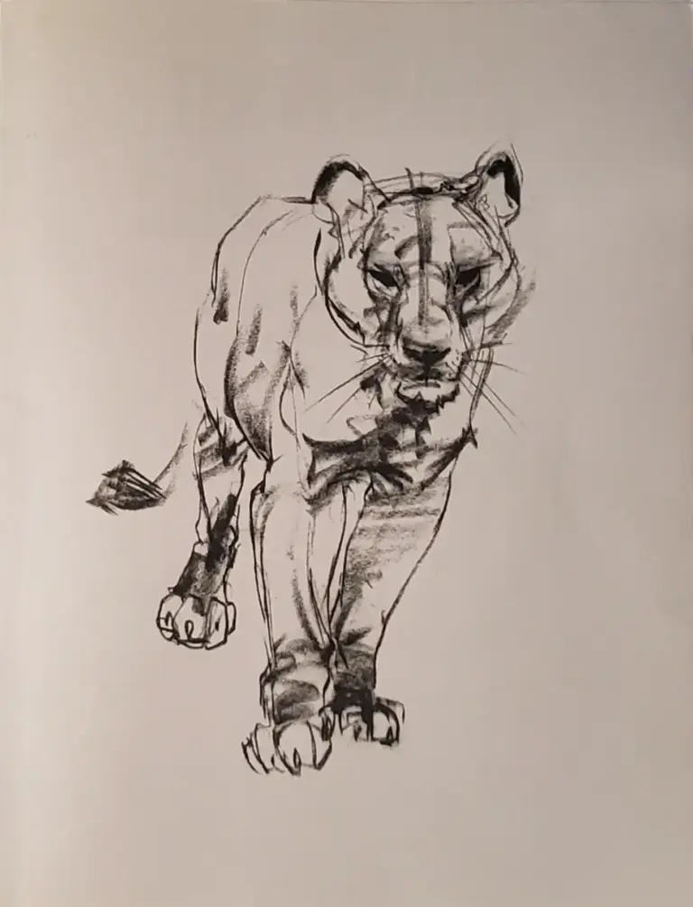 The Weatherly Guide to Drawing Animals