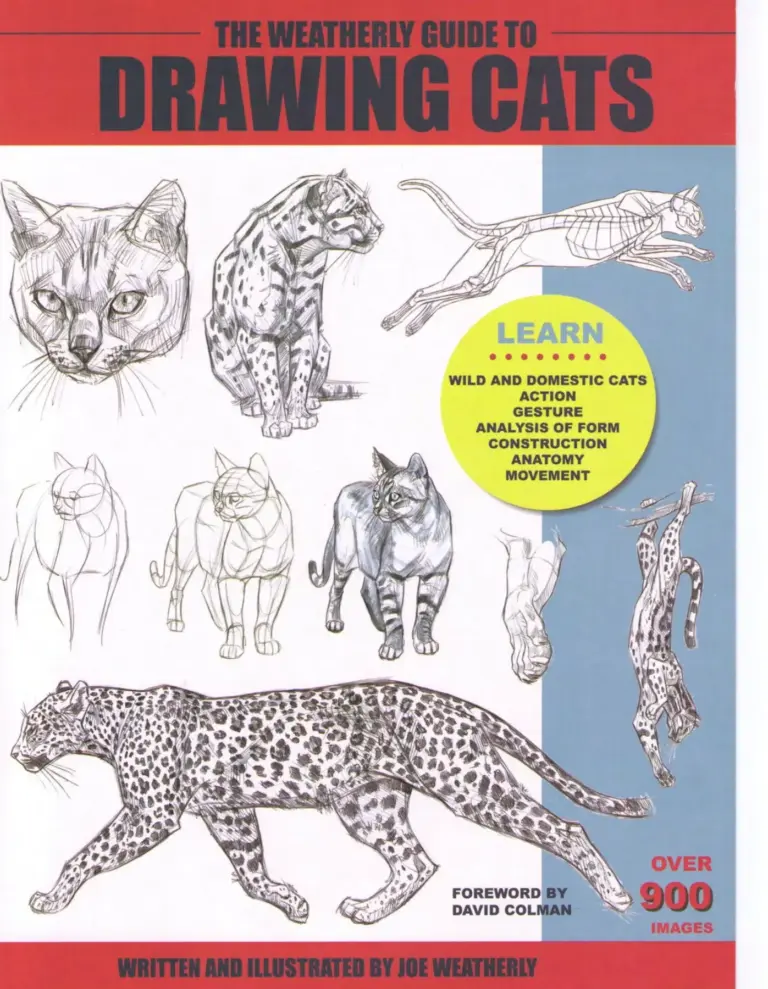 The Weatherly Guide to Drawing Cats