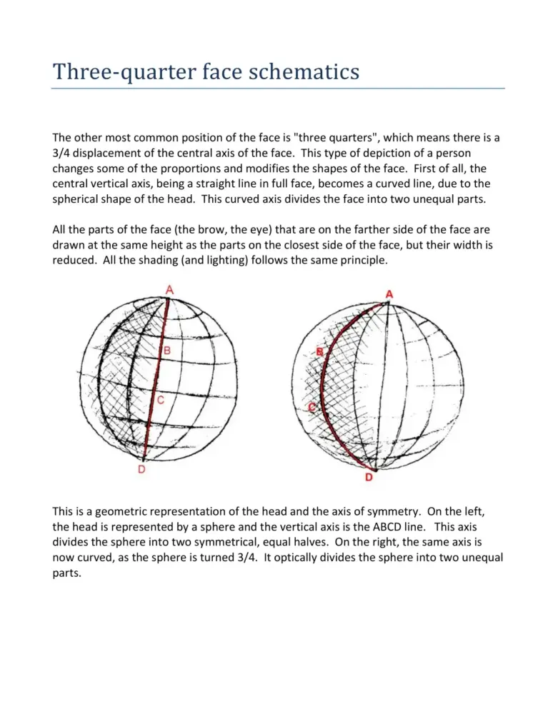 Three-Quarter Face Schematics