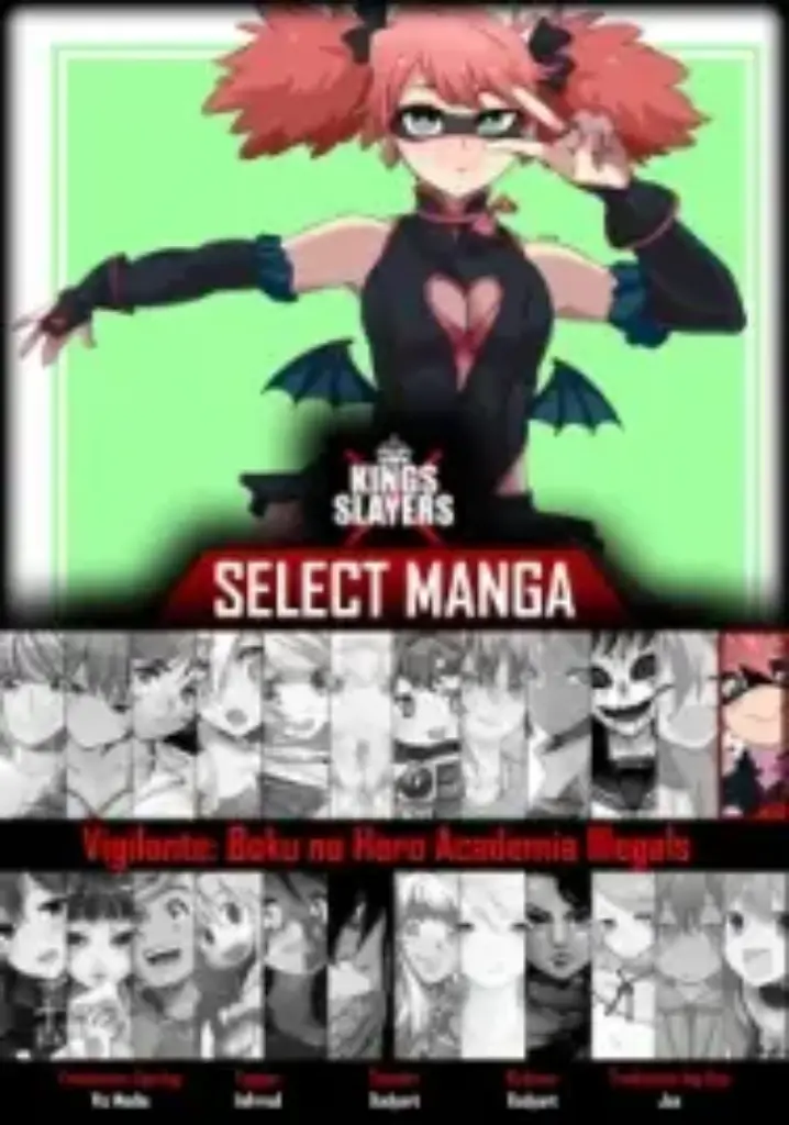 Vigilante Boku no Hero Academia Illegals