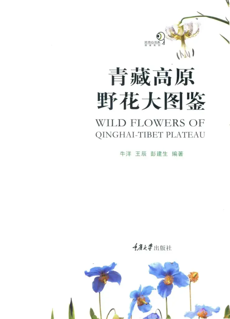 Wild Flowers of Qinghai-Tibet Plateau