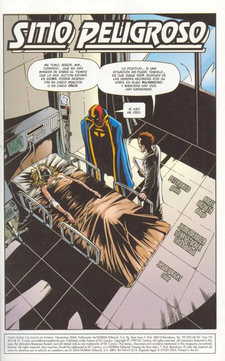 Young Justice #11